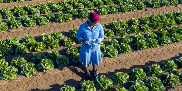 UN Women SA and Malawi